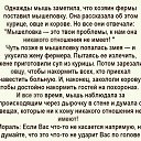 ���� Al�vtina, ���������, 57 ��� - ��������� 3 ����� 2019 � ������ ������ ��������