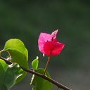 ���� ��������, ������, 78 ��� - ��������� 8 ������ 2019 � ������ ������ ��������