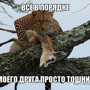 �������XXX, 45 ���, ������