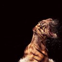 ���� �����, �������������, 31 ��� - ��������� 4 ������ 2019