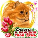 ���� �������, ����, 73 ���� - ��������� 2 ������� 2018 � ������ ������ ��������
