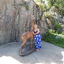  , - -  26  2018    2018