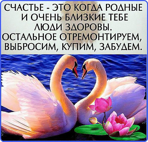 Борис - 21 февраля 2019 в 22:18