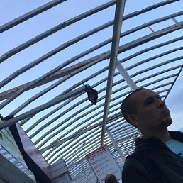 ���� ����������, ��������, 41 ��� - ��������� 3 ������� 2019