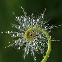 ���� �����, ������, 57 ��� - ��������� 1 ������� 2018 � ������ ���� ����������