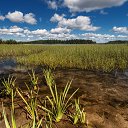 ���� ������, ����������� - ��������� 17 ������� 2018 � ������ ������ ��������