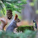 ���� ������, ������������ - ��������� 27 ����� 2019 � ������ ��������