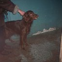 ������ ������ � ���������.2007 �� ������� ���� �������