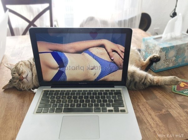 ��� ����������, ���� � ������������ ���� ���� � ������� - 5