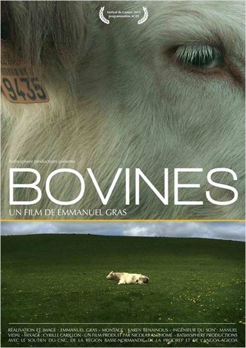  / Bovines /   2011. -    ? - ...