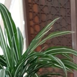 �����, �������, 48 ���