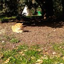 &quot;    &quot; ,,25.02.19.10.30.)),        ,25.02.19.