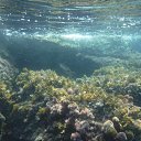 ���� �� ������� ���� ����������