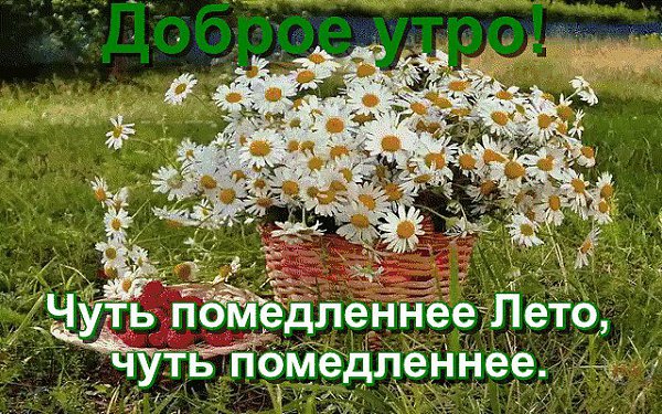 - Доброе утро! -.С дождём под ручку, по аллеямУходит Лето... Я жалею - Уходит солнышко, тепло...Вам ...