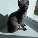 ���� �, ����������� - ��������� 17 ������ 2019 � ������ ������ ��������