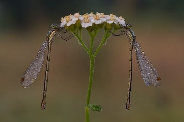 LIFE -  - 21  2018  16:56 - 9