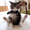 ���� ��������, ��������� - ��������� 11 ����� 2019 � ������ ������ ��������