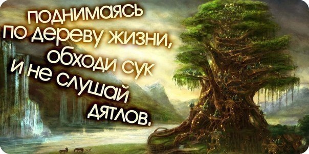 BEST | , ,  - 19  2018  16:44
