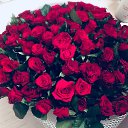 ���� �����, �������������� - ��������� 9 ������� 2018 � ������ ���� ����������