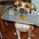 ���� ������, �������������, 50 ��� - ��������� 19 ������� 2018 � ������ ���� ����������