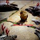 ���� ����, ����, 71 ��� - ��������� 18 ������� 2018 � ������ ������ ��������