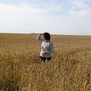 ���� ���, �����������, 43 ���� - ��������� 29 ������� 2018 � ������ ���� ����������