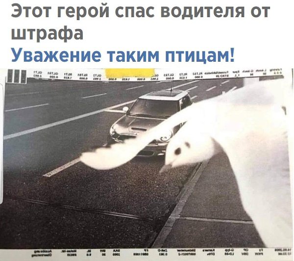 ����� - 17 �������� 2018 � 05:52