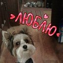 ���� �����, ������, 35 ��� - ��������� 9 ����� 2019 � ������ ���� ����������