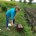 ���� �����, ��� - ��������� 6 ������� 2018 � ������ ���� ����������