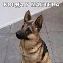 ���� ����, ������ - ��������� 10 ������� 2018 � ������ �� ����������