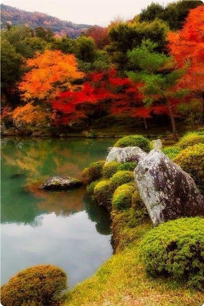 ������� | �������� | ����-����� - 8 ������ 2018 � 16:38 - 3