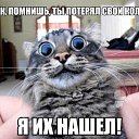 ϸ, - -  23  2019    
