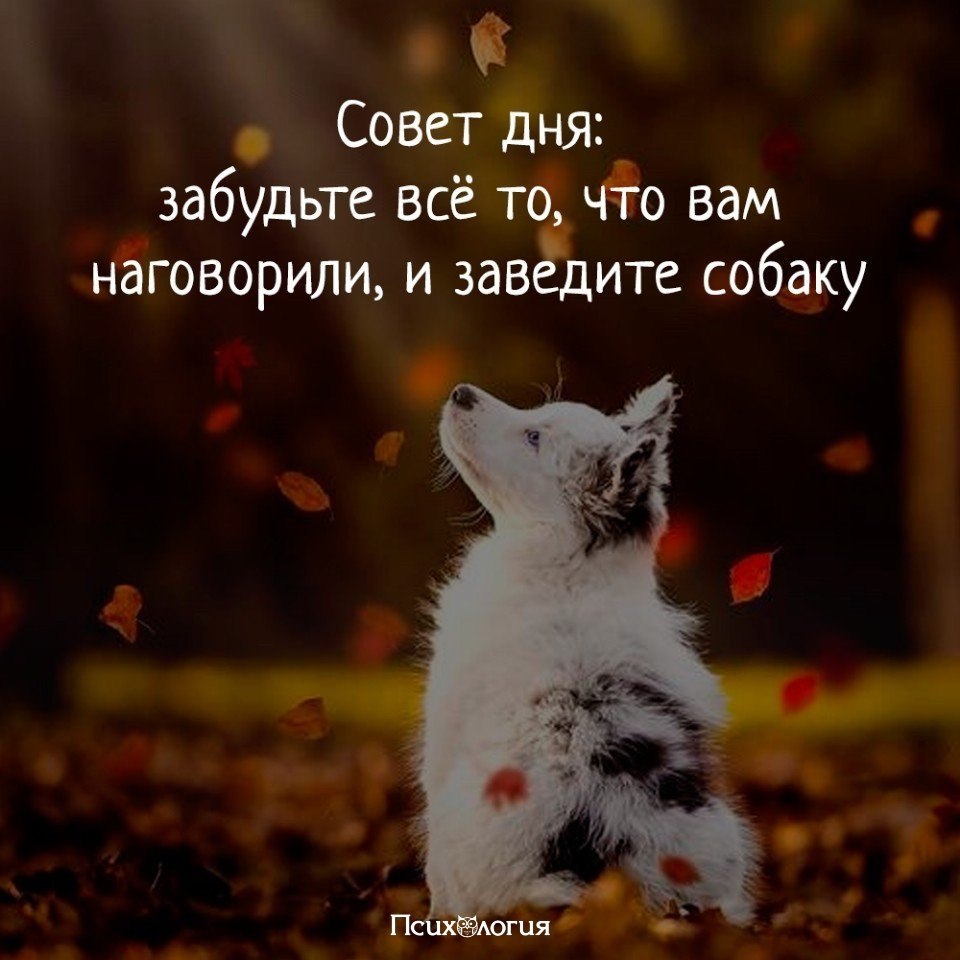  - 9  2018  16:48