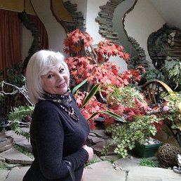 ���� ����, ������, 61 ��� - ��������� 25 ������� 2019