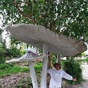 ������� . ������ ������ 2019 �� ������� ���� ����������