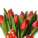 ���� ��������, ����� - ��������� 8 ����� 2019 � ������ ������ ��������