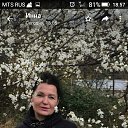 ���� �����, ���� - ��������� 23 ������� 2019 � ������ ���� ����������