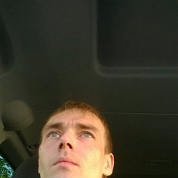 ����, �����-���������, 40 ���