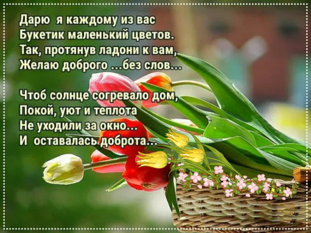 ПРИВЕТСТВИЯ и ПОЖЕЛАНИЯ, открытки на каждый день. опубликовал пост от 6  марта 2019 в 21:39 | Фотострана | Пост №1897162126