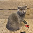 ���� �����, ��������, 58 ��� - ��������� 25 ������ 2019