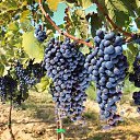 ���� ���������, ������ �������� - ��������� 3 ������ 2019