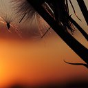 ���� ���������, �����������, 50 ��� - ��������� 12 ������� 2019