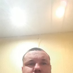 ������, ������, 37 ���