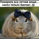 ���� �����, �����������, 53 ���� - ��������� 27 ����� 2019 � ������ ���� ����������