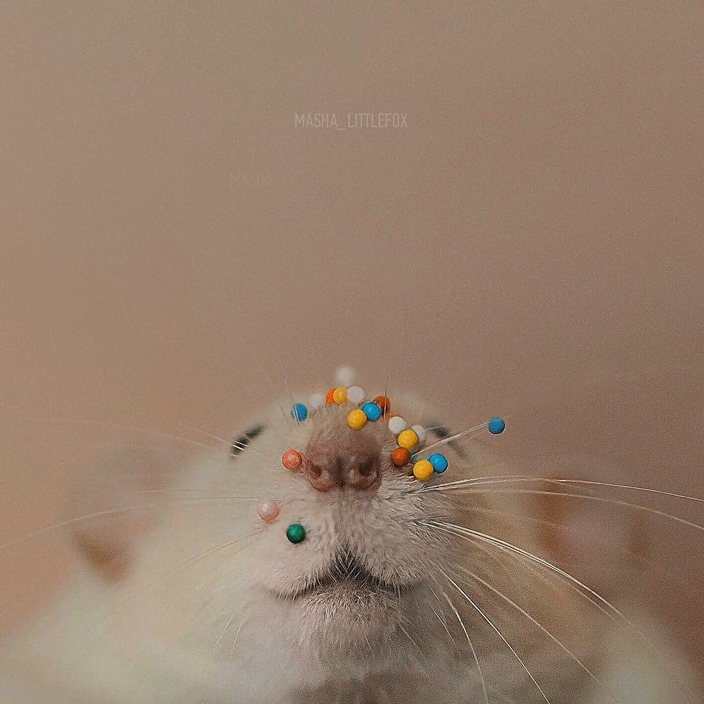 -      !) - 5