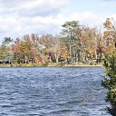 ���� Igor, ��� ����, 62 ���� - ��������� 7 ������ 2018 � ������ �Bear Mountain�