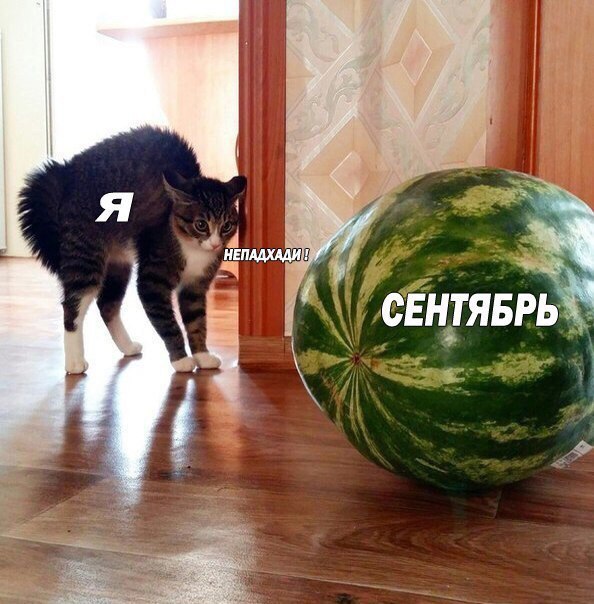 ���� � �� �������� � ���� ����� ? �����������