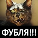 ���� �������, ������ - ��������� 24 ������� 2018 � ������ ������ ��������