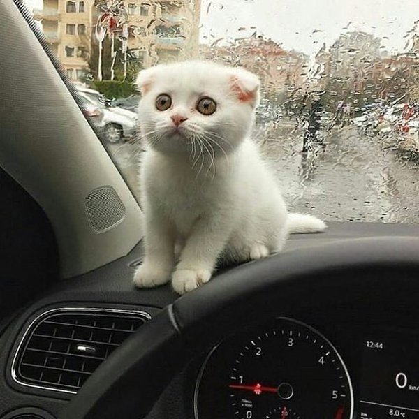 ���� a��o�����e��.