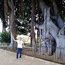  , , 72  -  17  2018    2018.